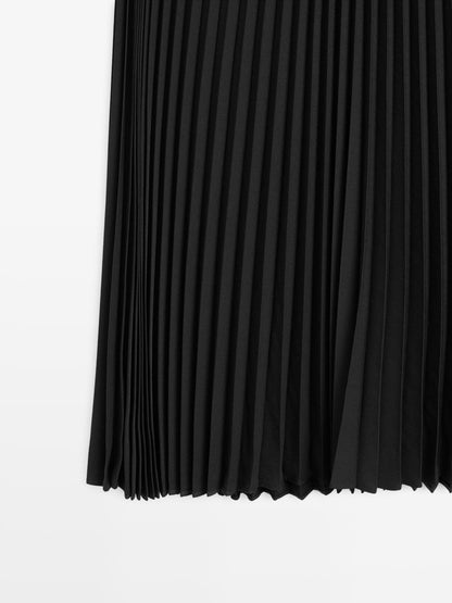 Long pleated skirt